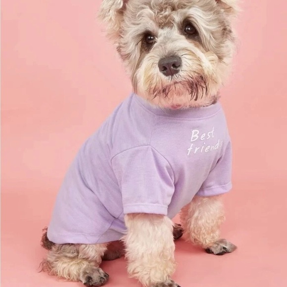 Other - Small Dog Or Cat Pet Tee T-Shirt Best Friends Purple Clothing